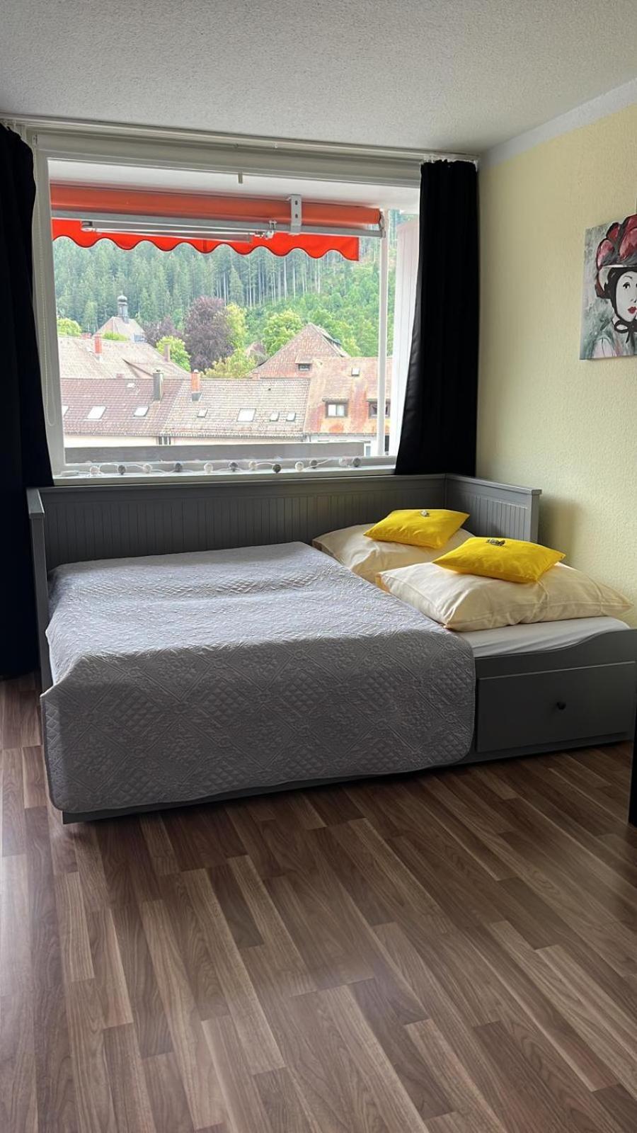 Domview Apartment St. Blasien Dış mekan fotoğraf