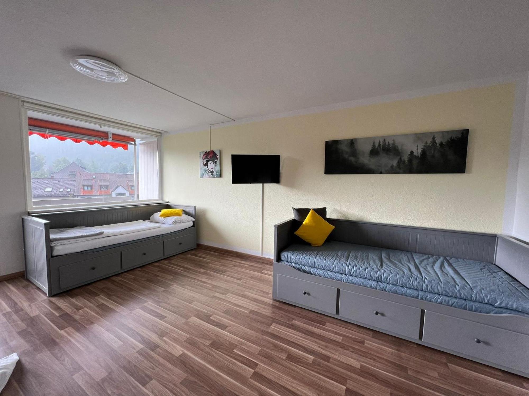 Domview Apartment St. Blasien Dış mekan fotoğraf